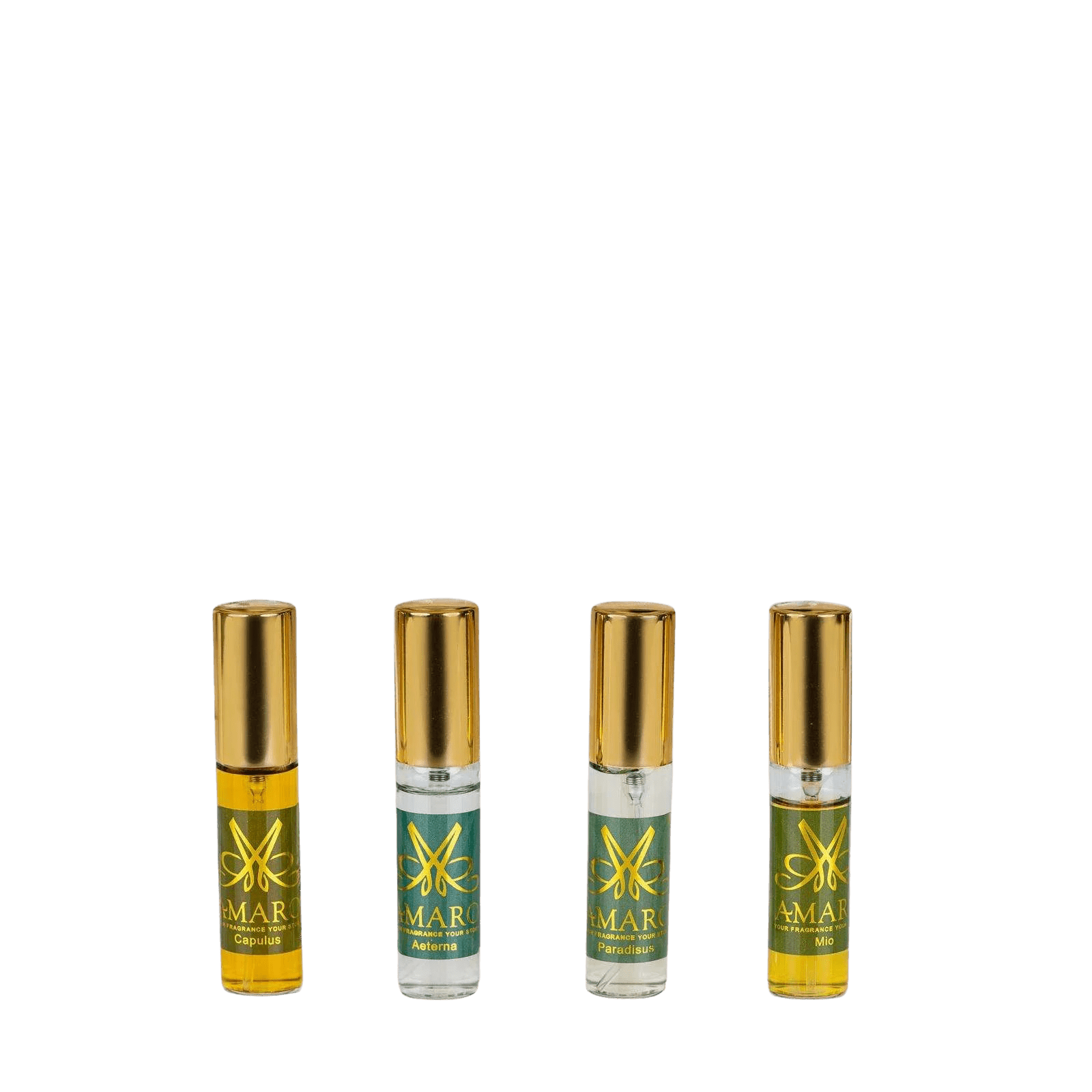 WhatsApp-Image-2025-02-11-at-21.56.21-3.jpeg-2-removebg