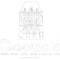 osswald logo weiss no bg